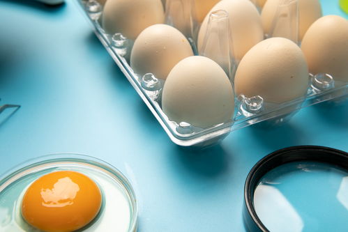 無菌雞蛋食品安全農(nóng)業(yè)科技食品培育攝影圖 插畫 下載至來源處