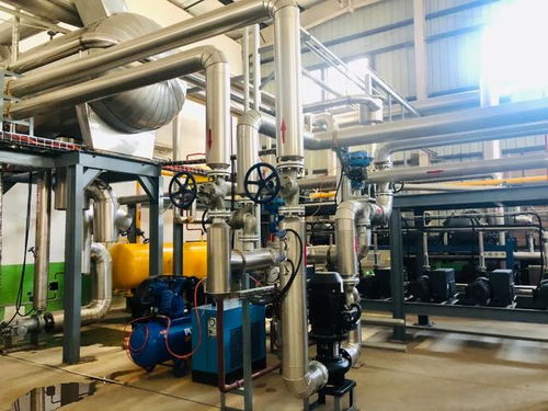 探廠(chǎng)國(guó)內(nèi)寵物食品凍干廠(chǎng),國(guó)產(chǎn)凍干好不好,可以親自去工廠(chǎng)看看啊